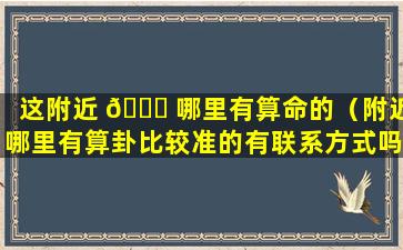 这附近 🕊 哪里有算命的（附近哪里有算卦比较准的有联系方式吗）